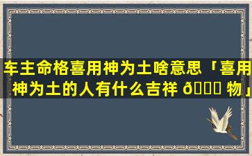 车主命格喜用神为土啥意思「喜用神为土的人有什么吉祥 🍀 物」